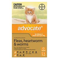 Advocate - Kittens & Small Cats up to 4 kgs Orange 1 single dose